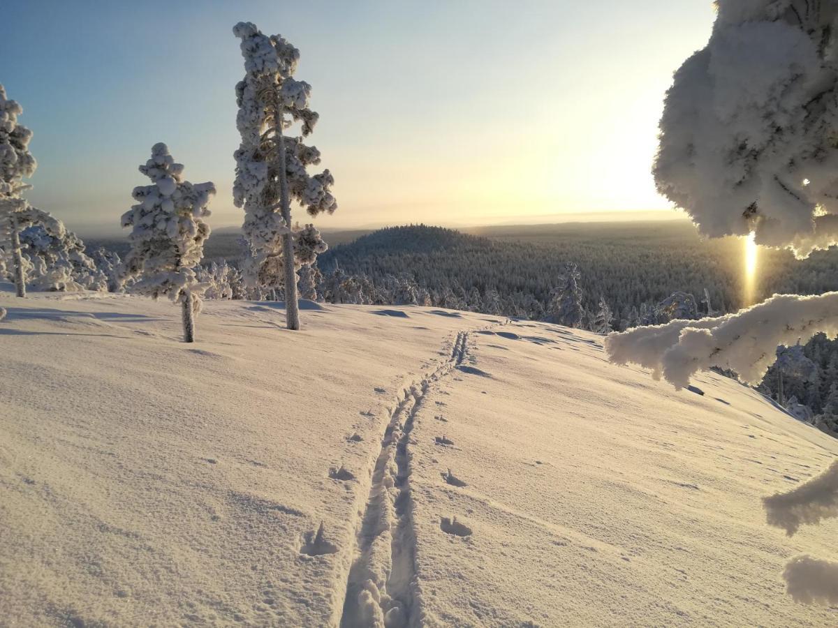 Raekkipirtti Villa Luosto Dış mekan fotoğraf