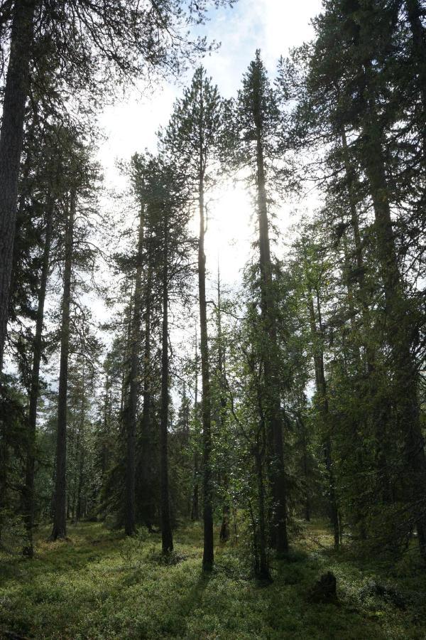 Raekkipirtti Villa Luosto Dış mekan fotoğraf